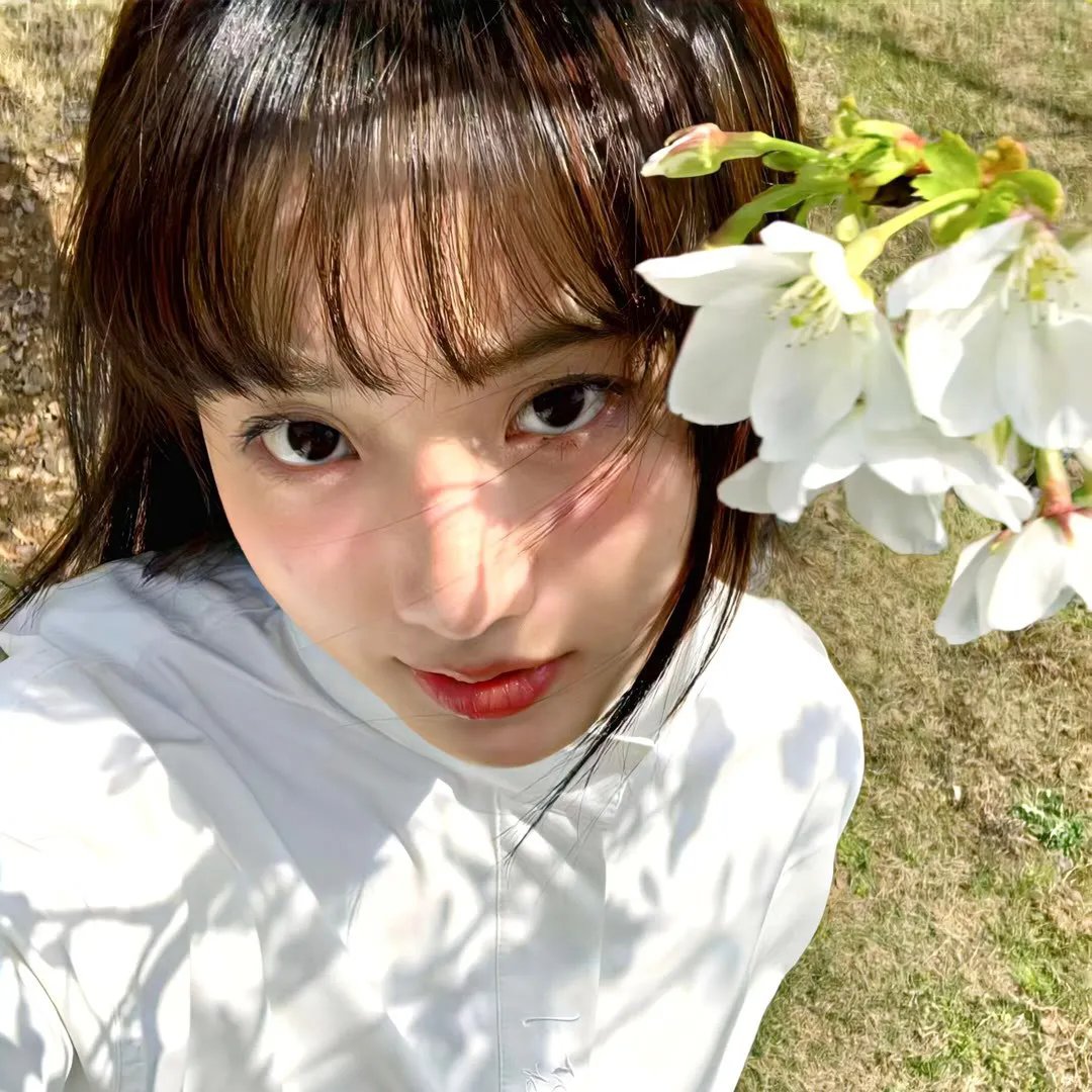 有顶天家族